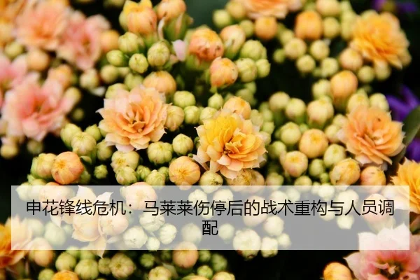 申花锋线危机：马莱莱伤停后的战术重构与人员调配