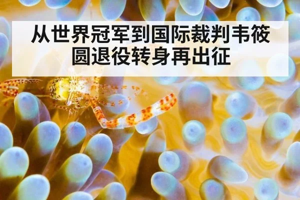 从世界冠军到国际裁判韦筱圆退役转身再出征